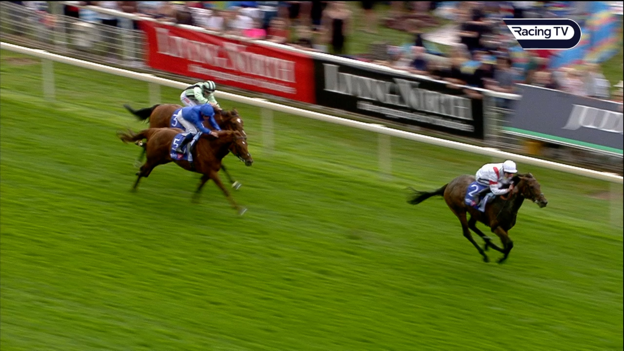 Voltigeur winner Deauville Legend heading to Lexus Melbourne Cup