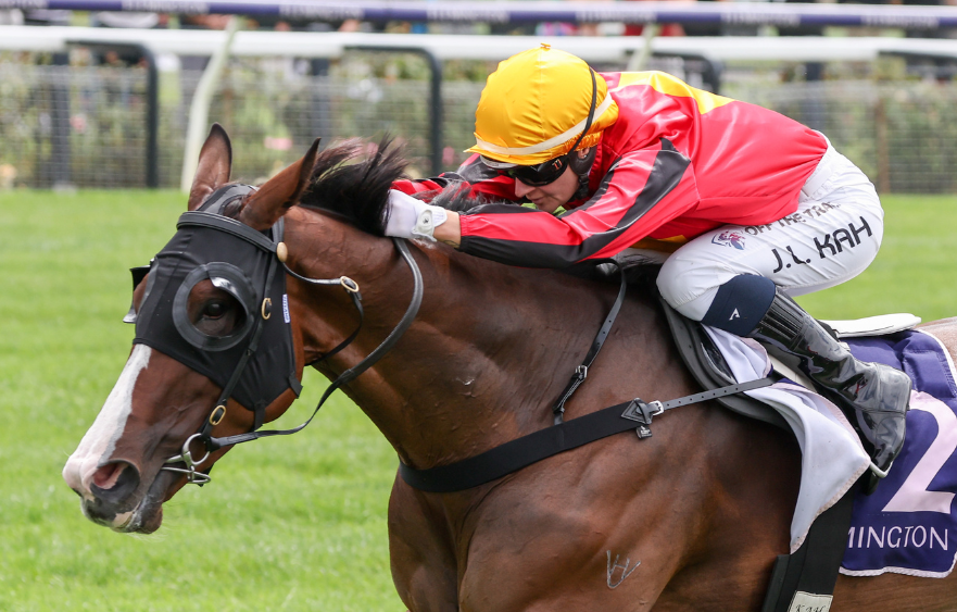 El Soleado heads back to Flemington