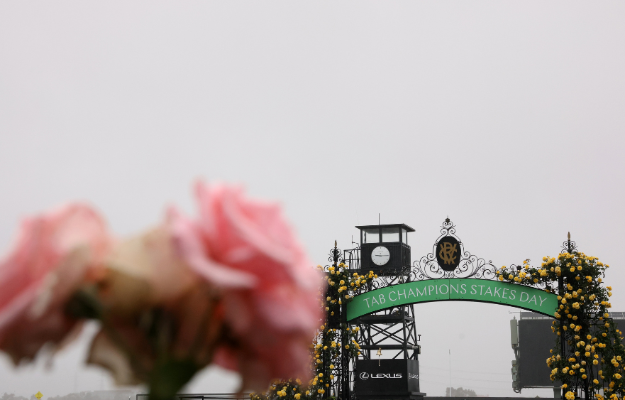 Australia’s best horses descend on Flemington for TAB Champions Stakes Day
