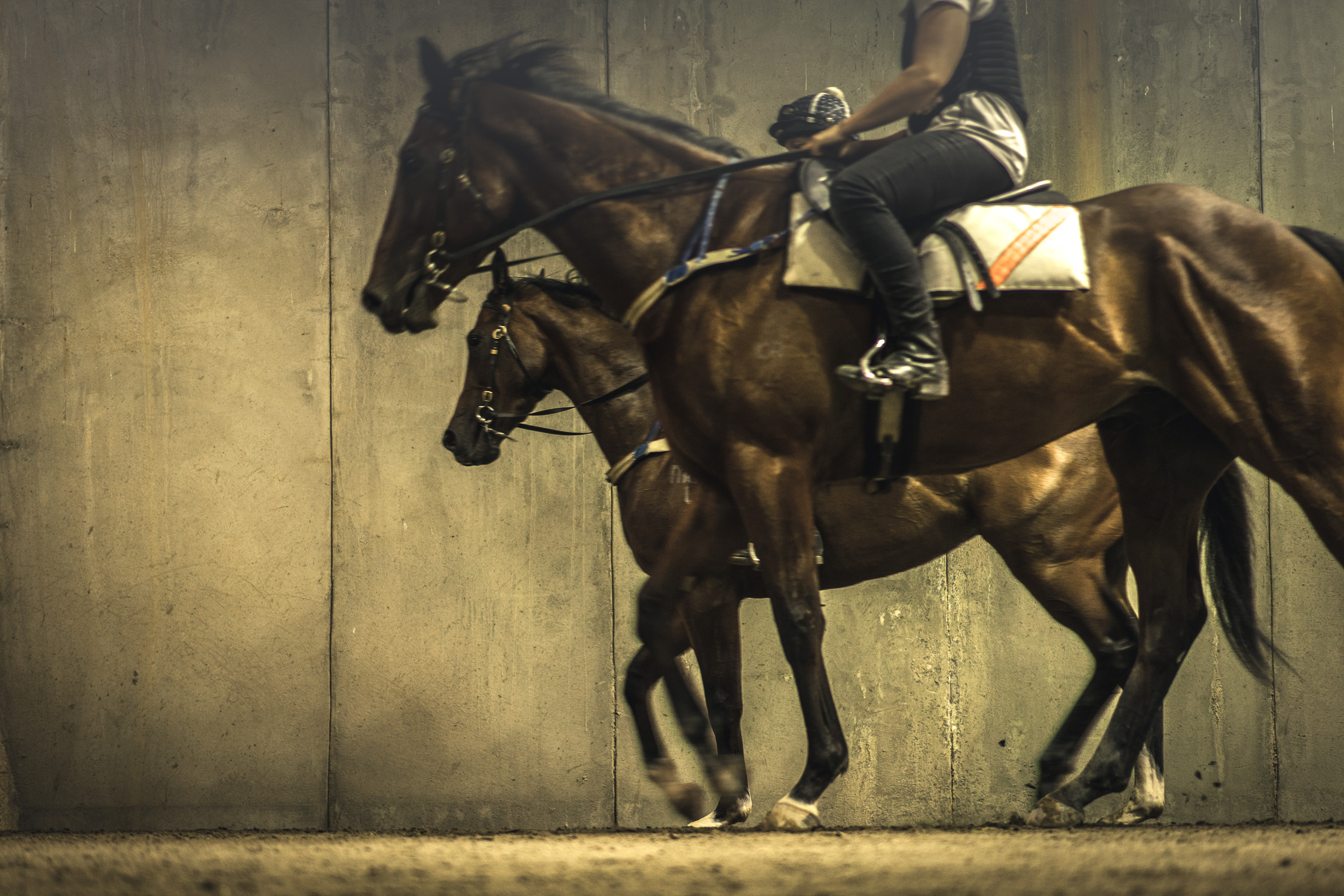 Meet Brendan McCarthy