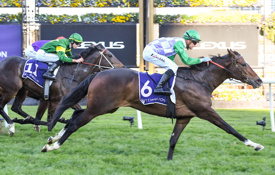 Prebble’s chance to make Aurie’s Star splash