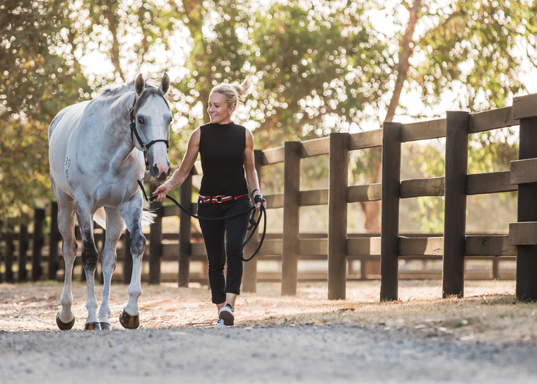 VRC Ambassador Amanda Ross wins Off The Track Dressage Series