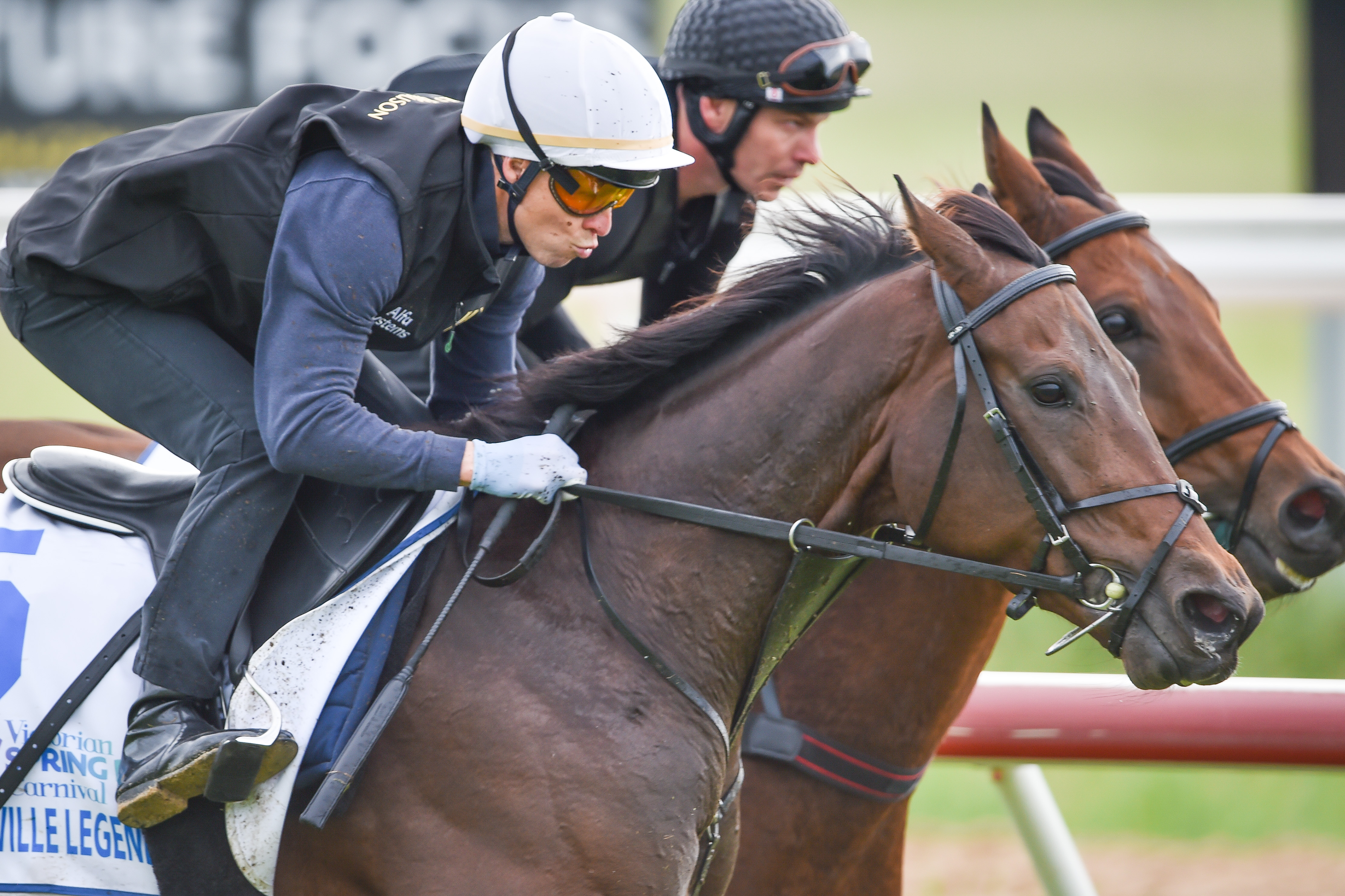 The quality of the internationals in the Lexus Melbourne Cup