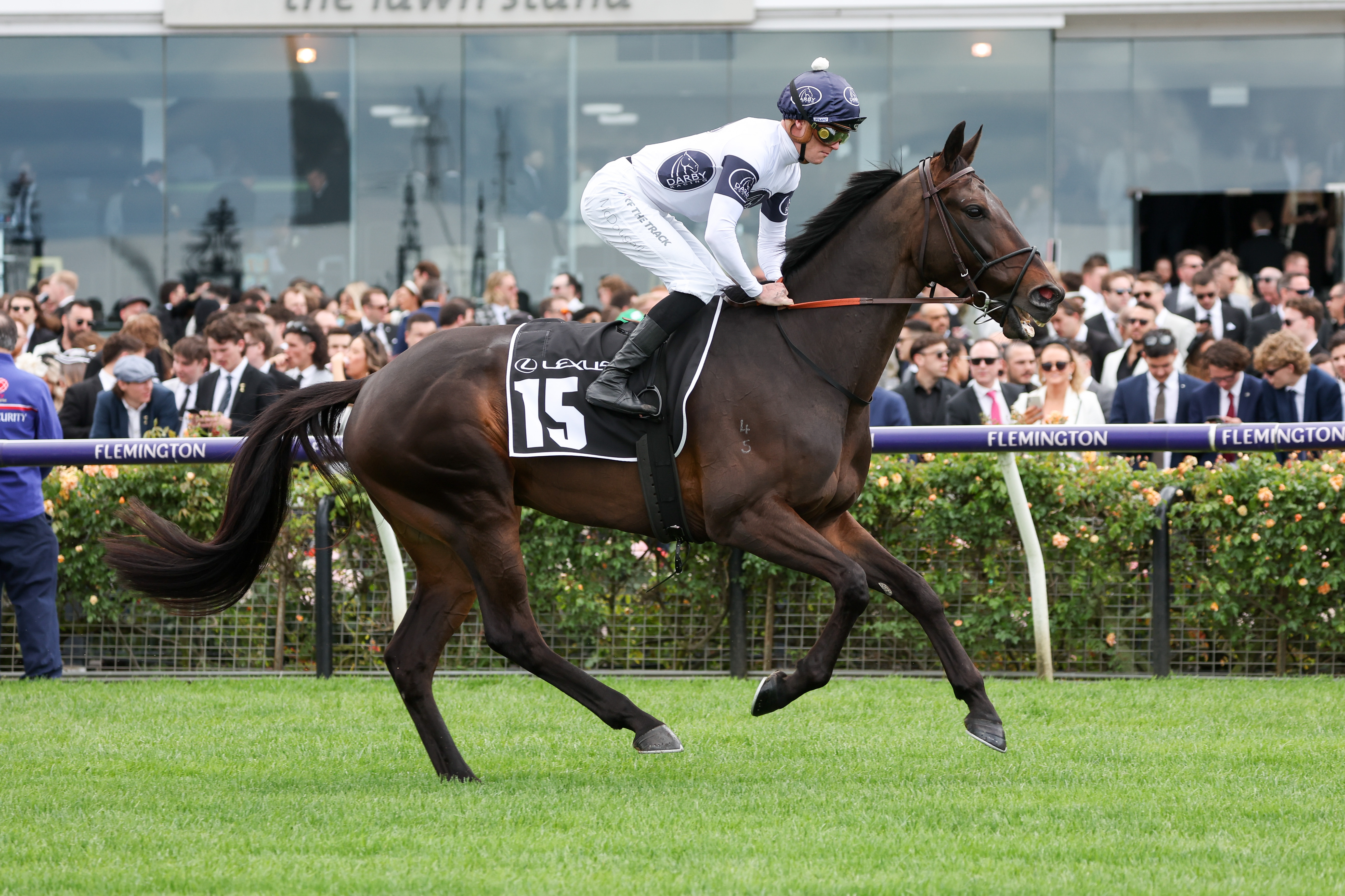 Bagot trip no concern for True Marvel