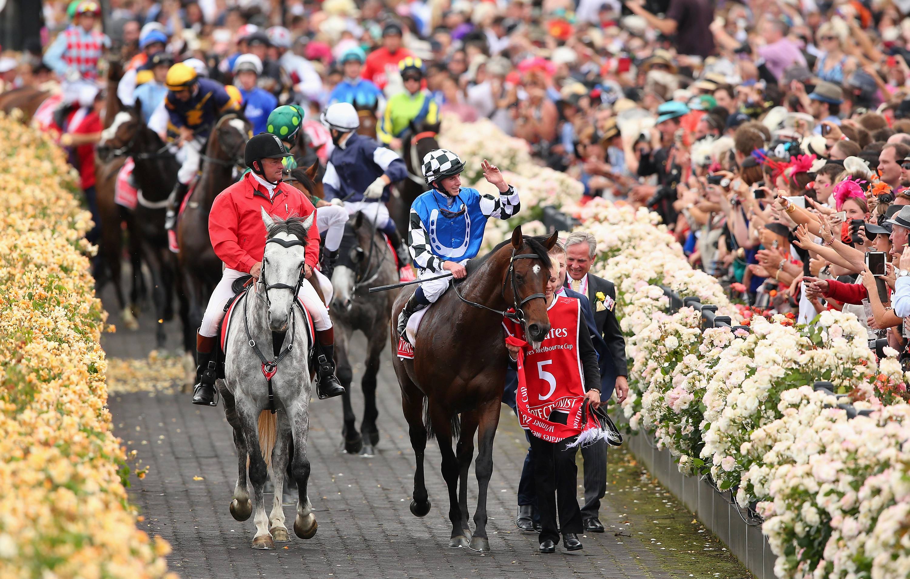 The race that changed everything: Jamie Lovett and Protectionist’s 2014 Melbourne Cup