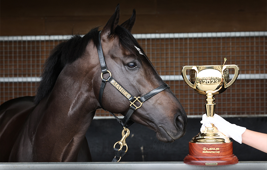 Melbourne Cup winner nearing a return
