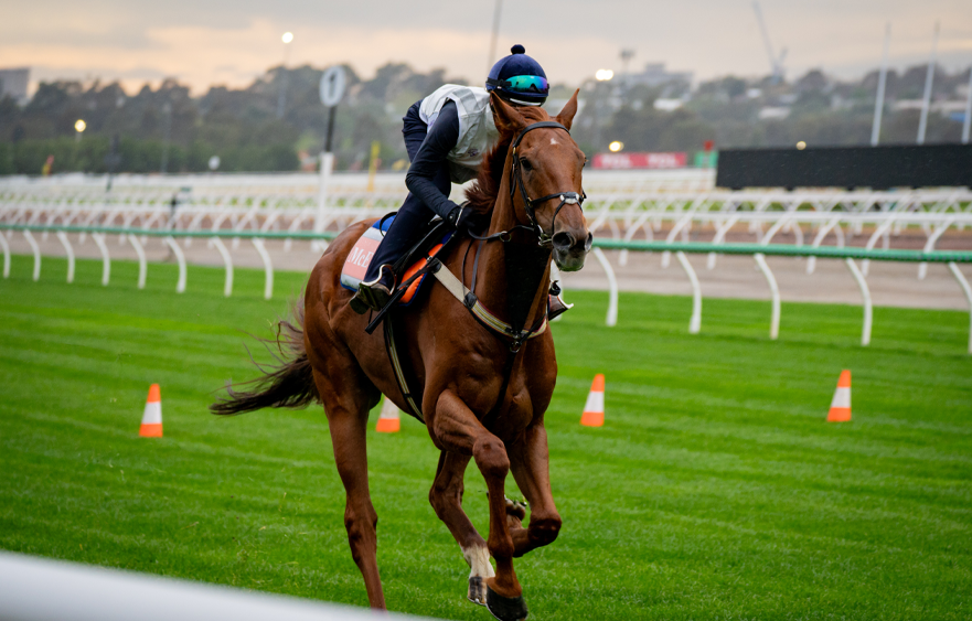 Half Yours builds into 2026 campaign