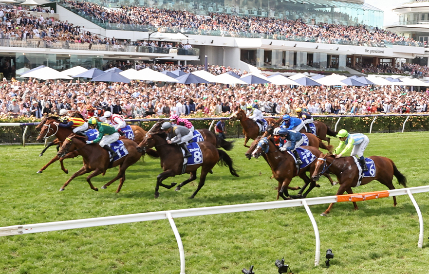 13 horses to look out for on Black Caviar Lightning Race Day