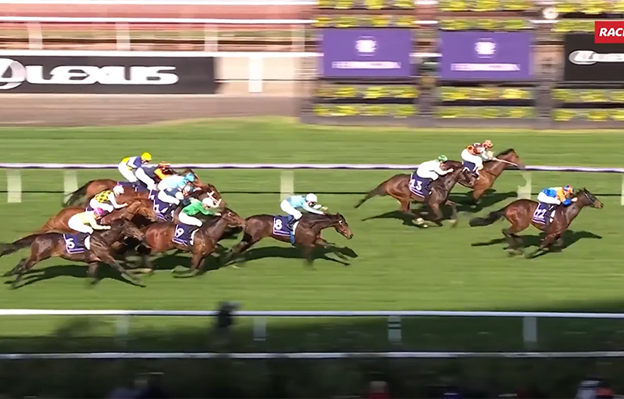VRC Country Race Day Highlights