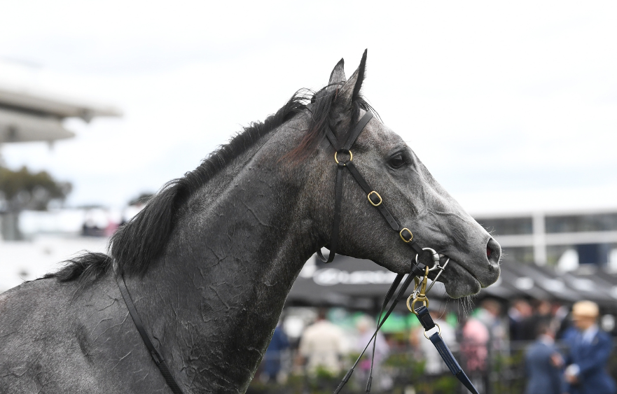 My Gladiola on Lightning path
