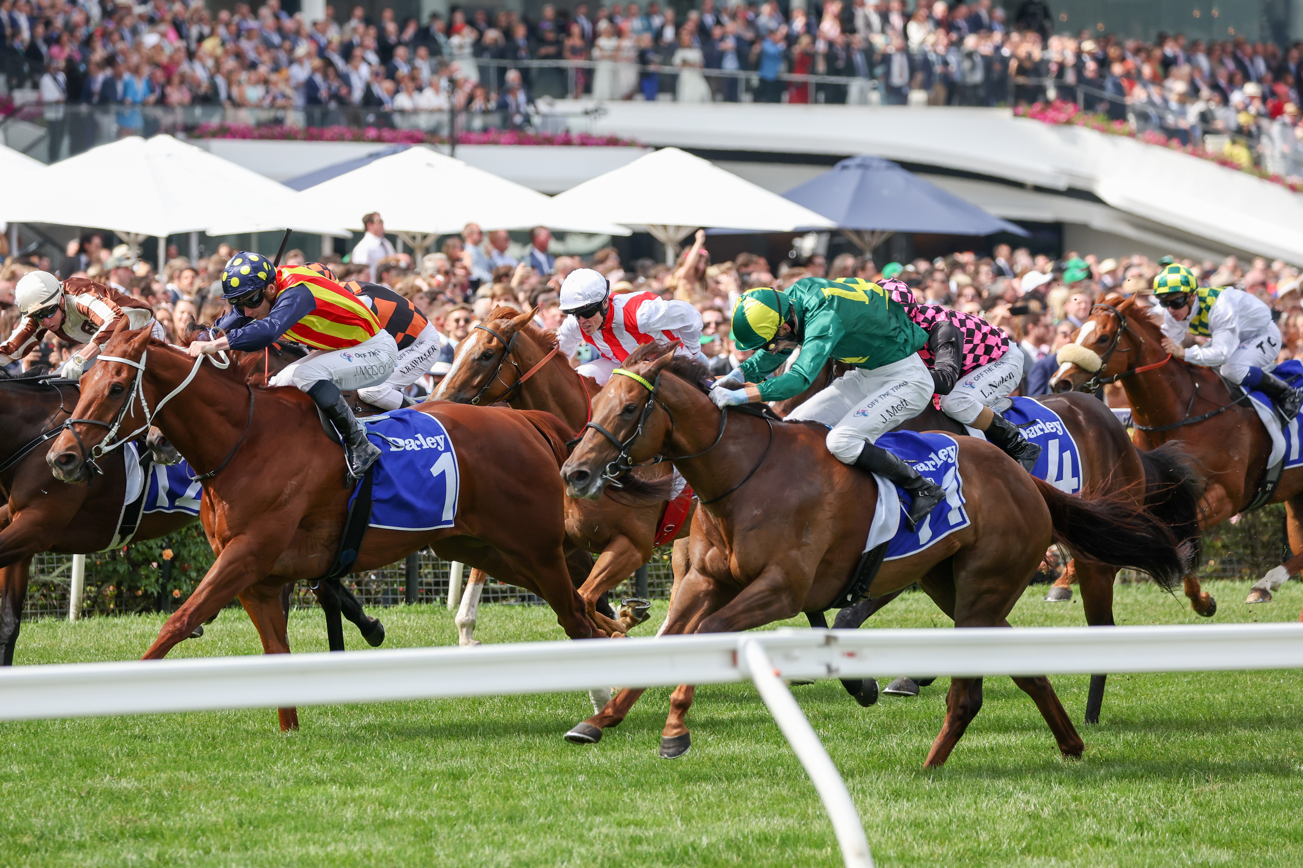 Interview: Steve Rosich talks about Spring Carnival concepts