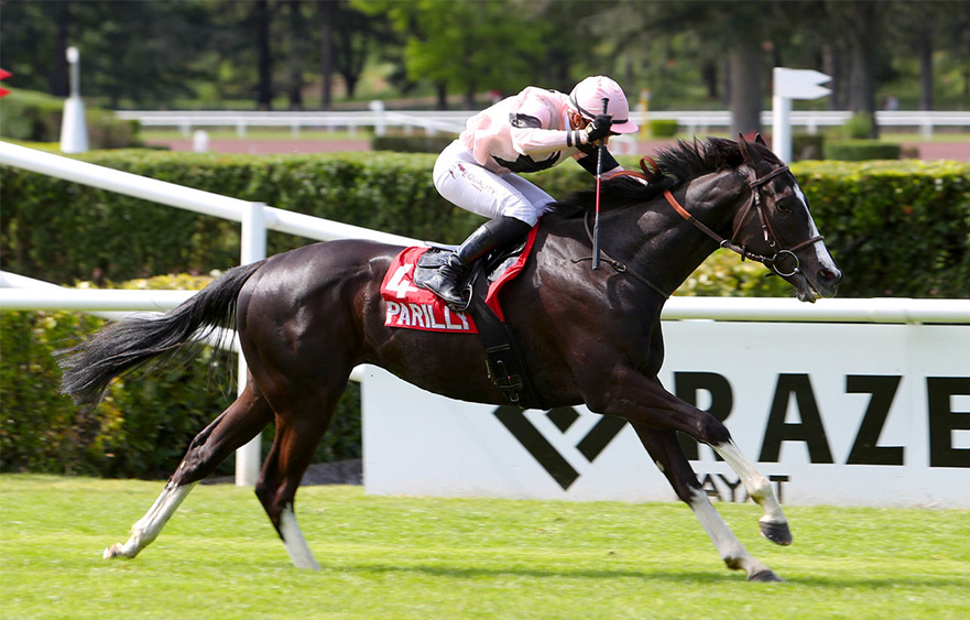 Lexus Melbourne Cup - Five to watch