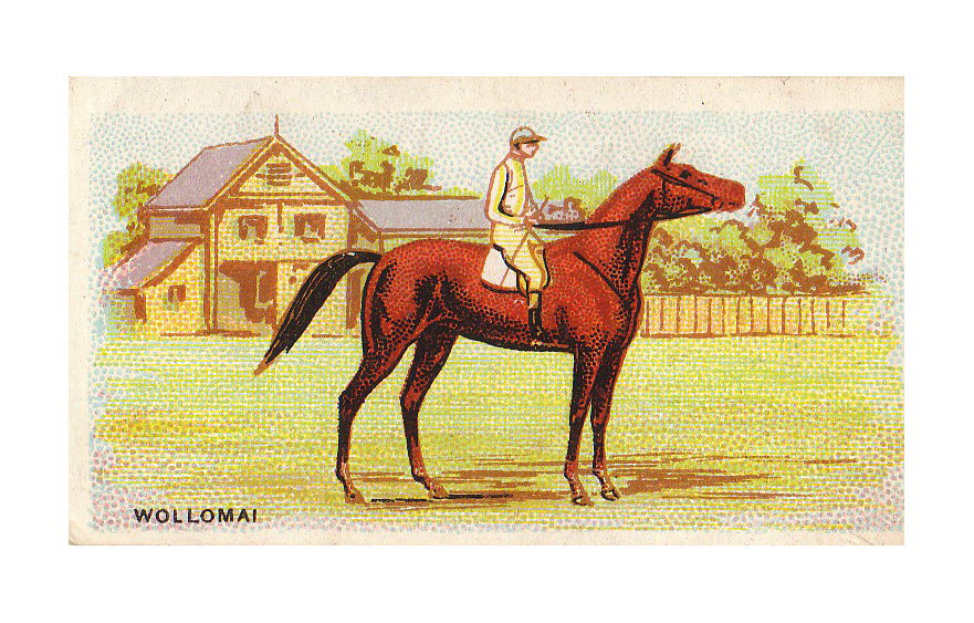 How the Cup became Cup Week