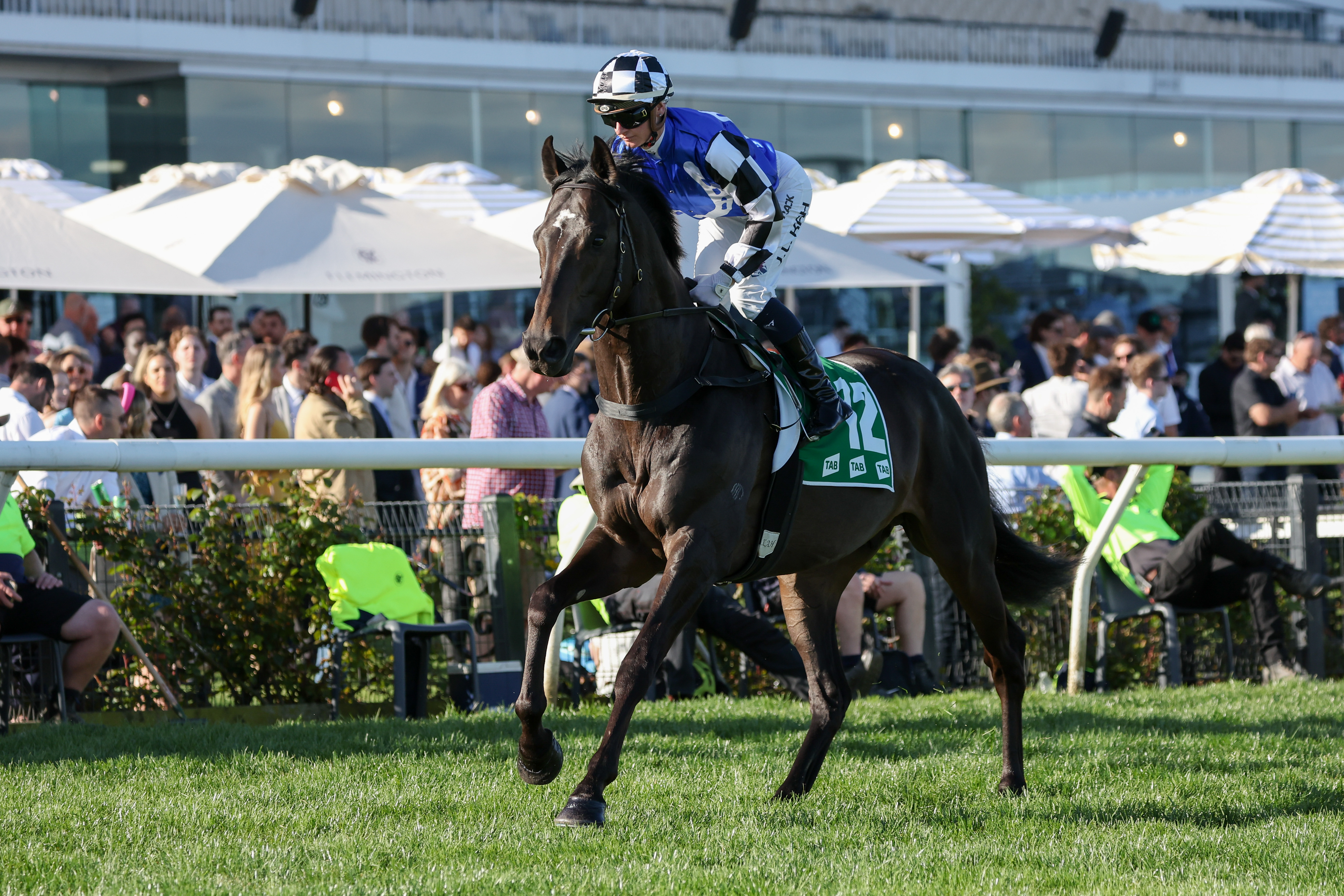 34 in contention for Lexus Melbourne Cup