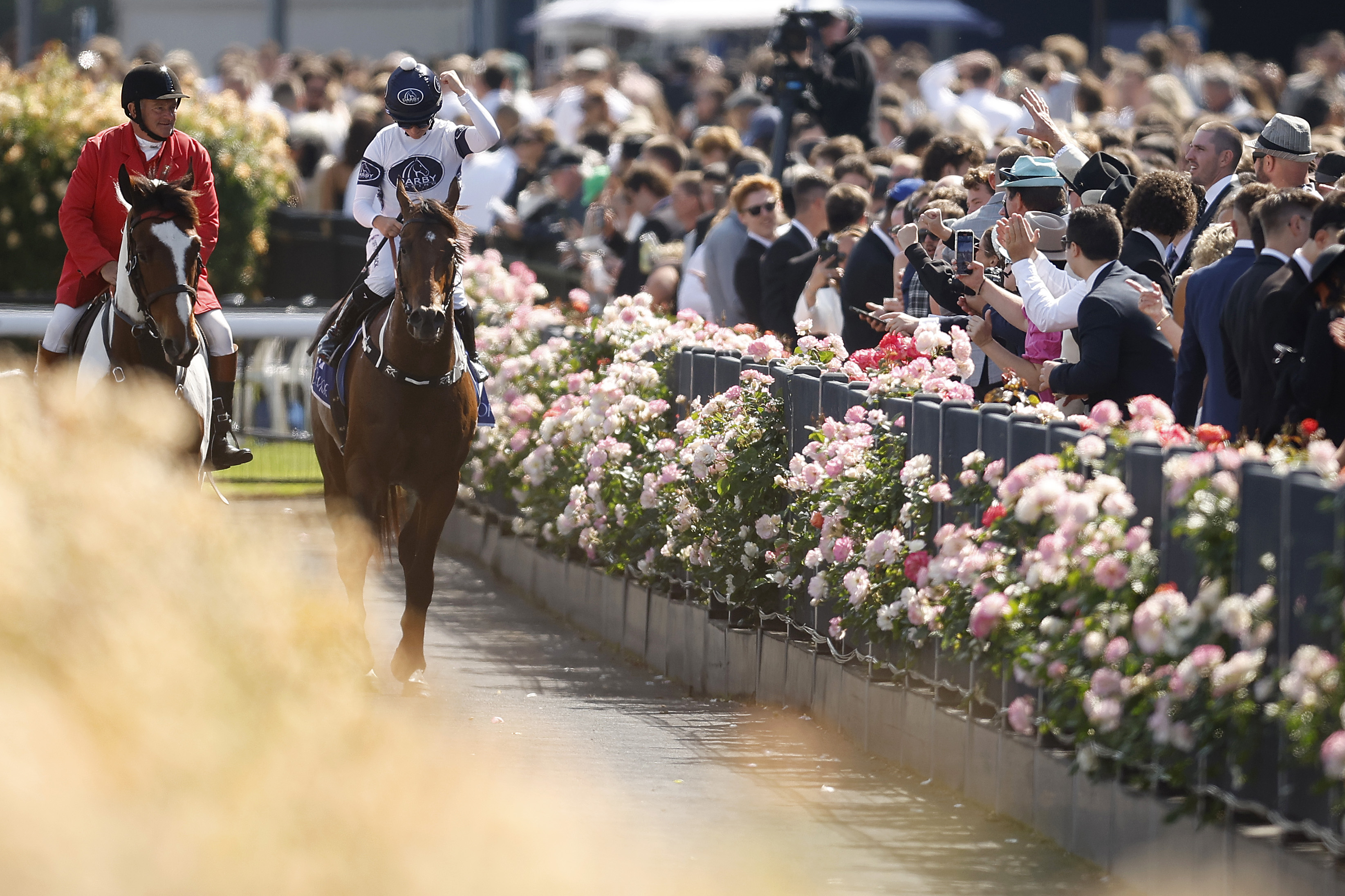 Ozzmosis makes King the Coolmore queen
