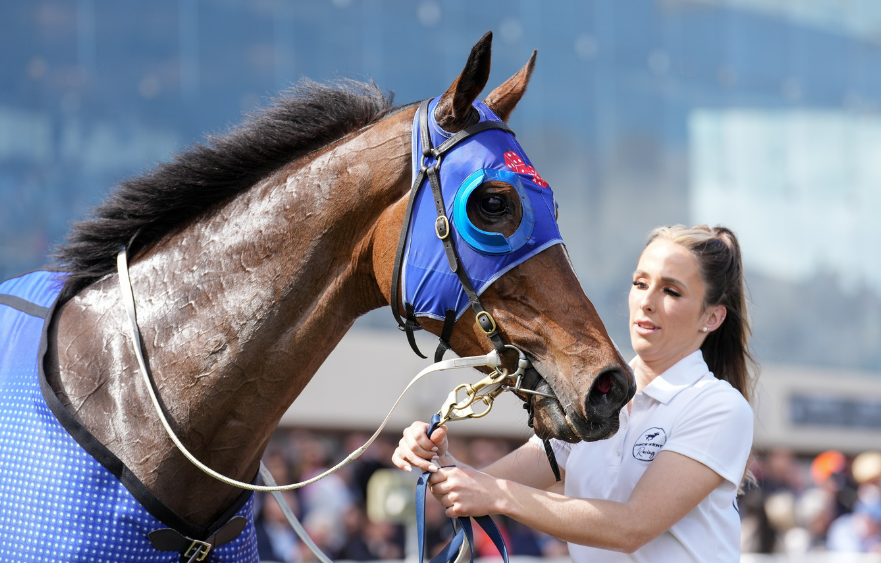Ayrton draws the car park in The Damien Oliver