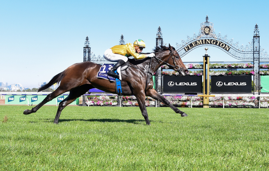 Estriella stunning in Sunlight Classic