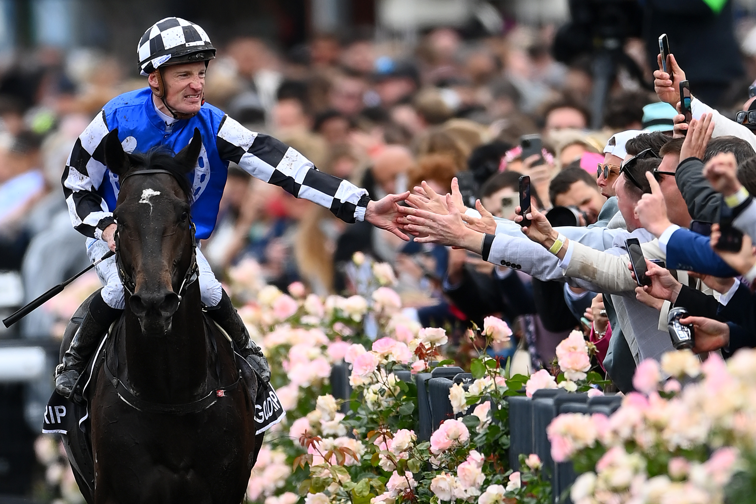 Gold Trip wins the 2022 Lexus Melbourne Cup