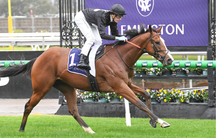 Brisbane bound Highvol scores again