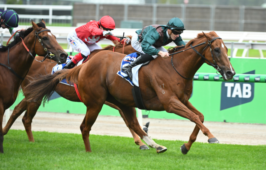 TAB Australian Cup Day race review