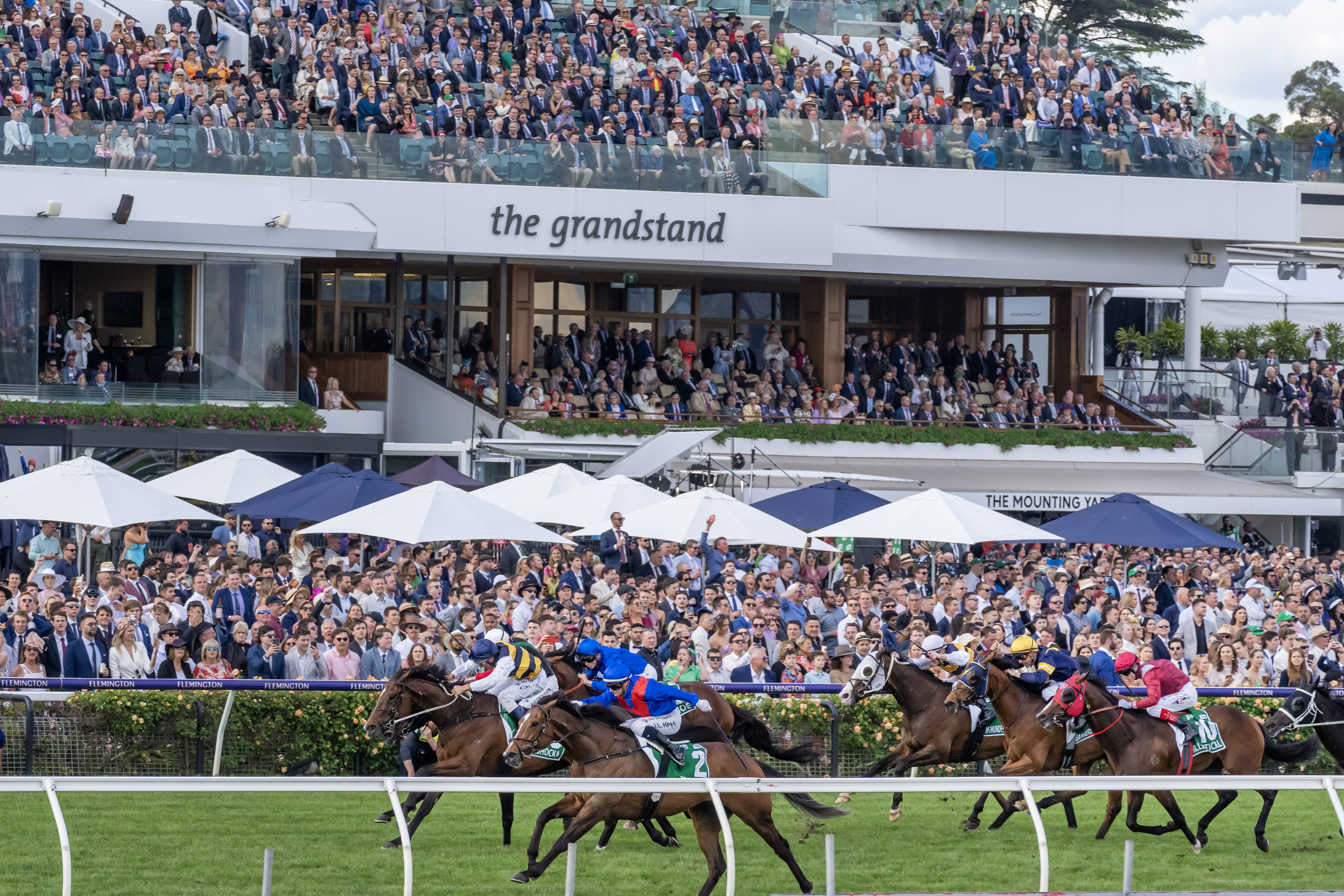 Zaaki shows Champion qualities at Flemington