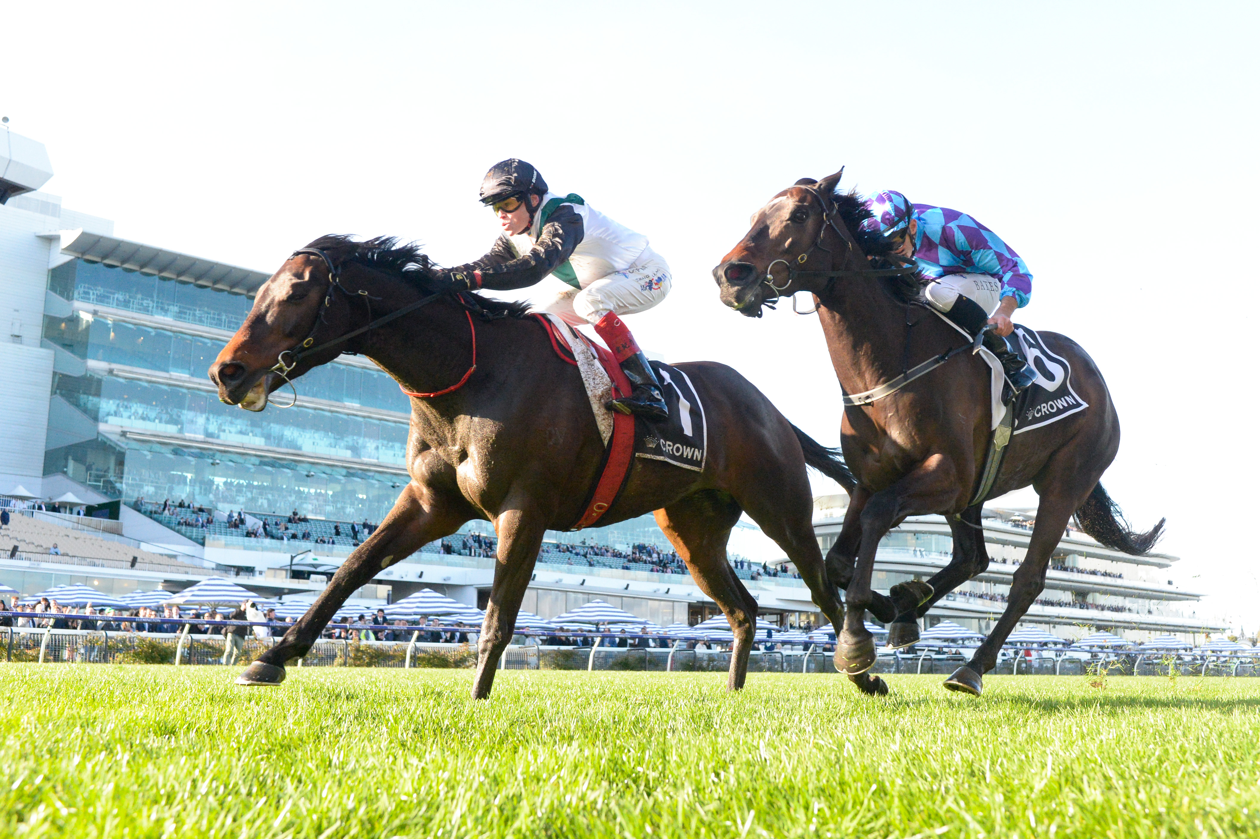 An eye on victory: Blinkers for Mr Brightside in Champions Mile