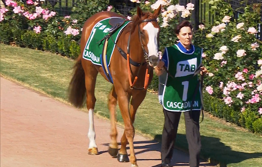James Cummings set for an assault on Champion Stakes Day