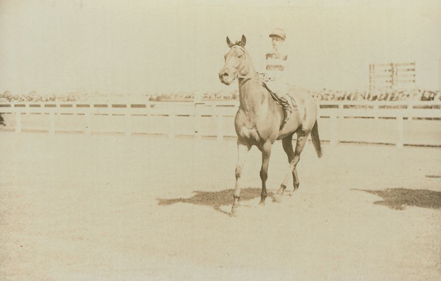 Aurie’s Star – more than just a pipe opener