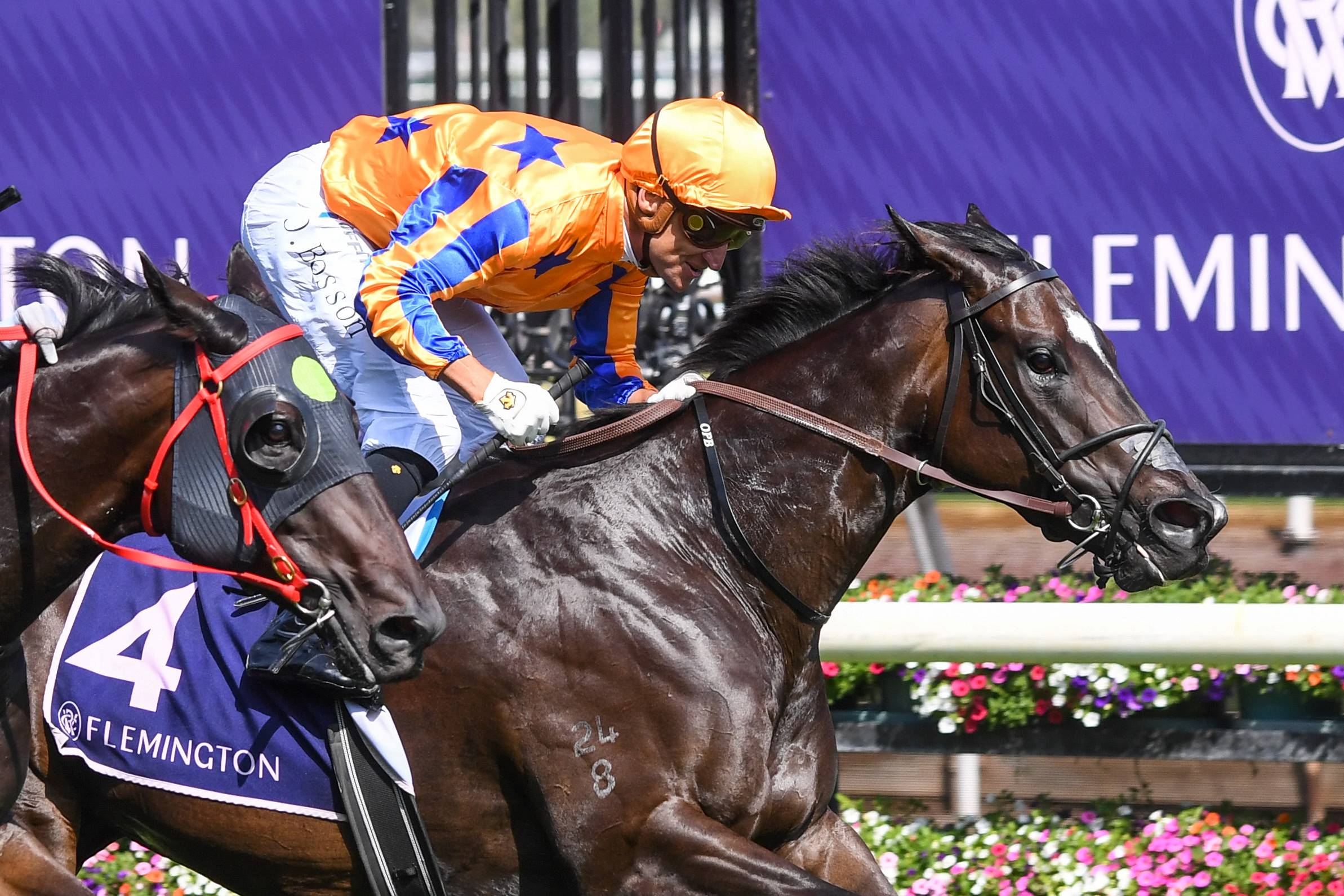 Imperatriz, the world's best sprinter back at Flemington for Newmarket Handicap