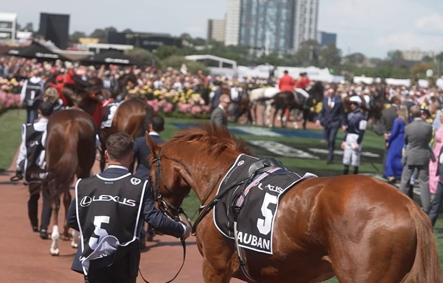 Vauban is on track for the Cup