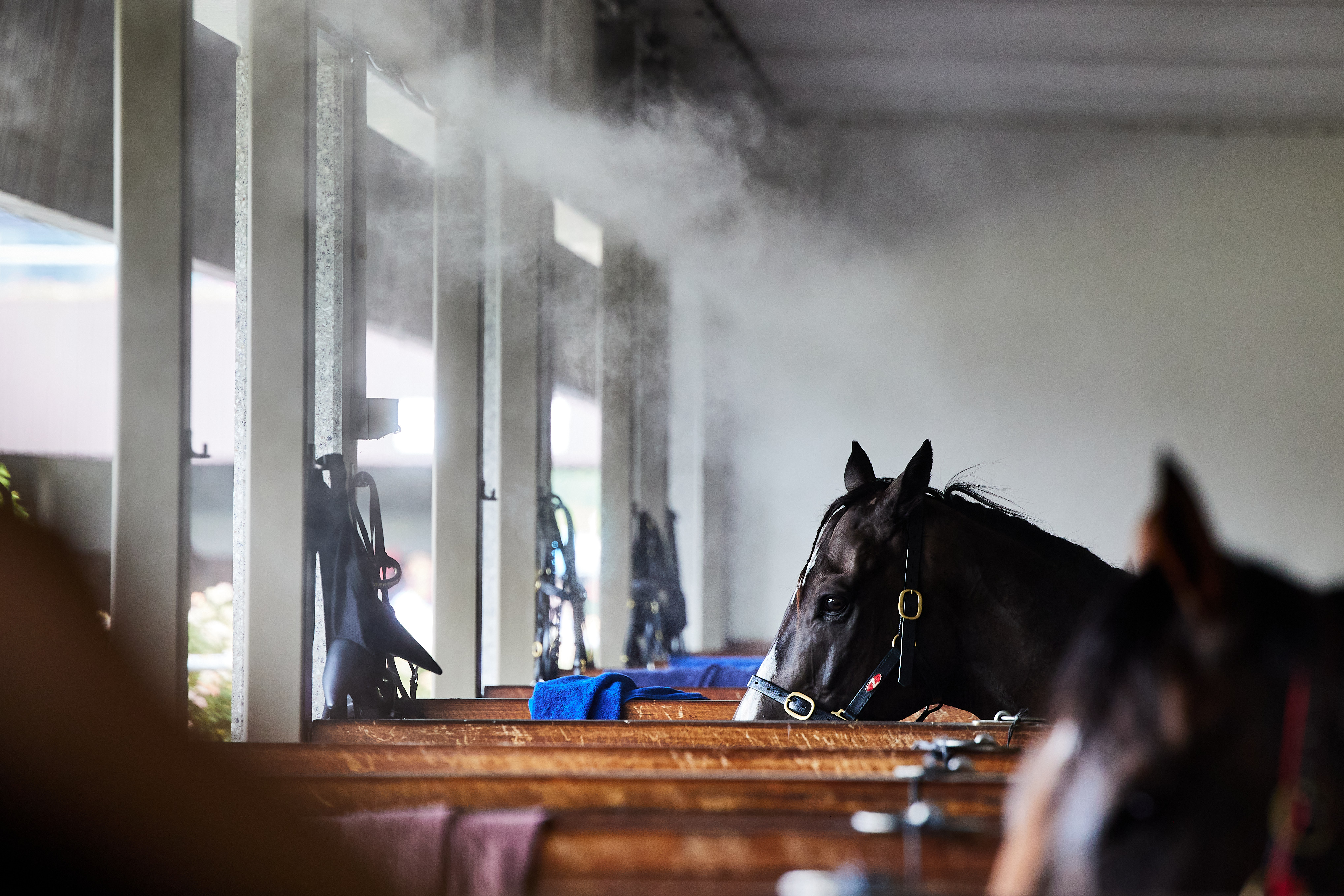 Cool by design: recovery in modern racing