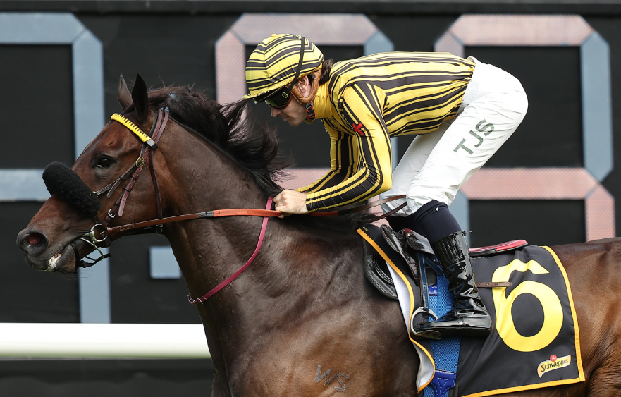 Jedibeel makes Melbourne debut at Flemington