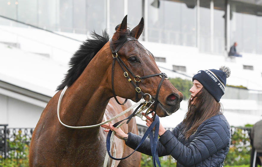 Rain would be ideal for Price-Kent pair