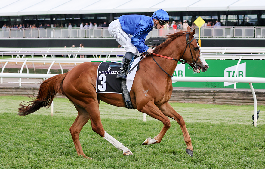 TAB Australian Cup Day Preview