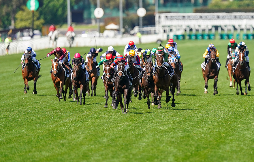 2022 Lexus Melbourne Cup field narrowed to 58