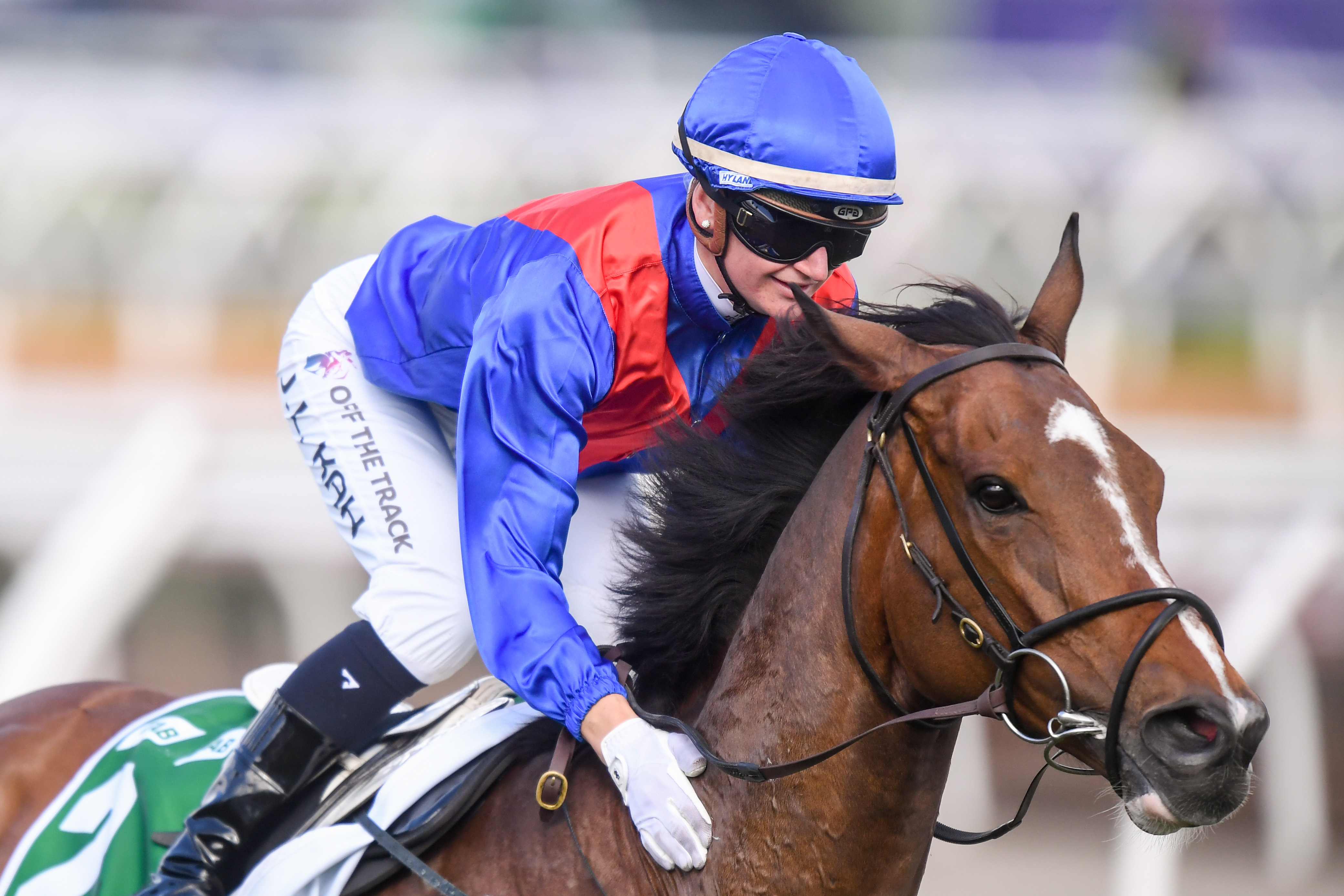 Champion racehorse Zaaki's second act