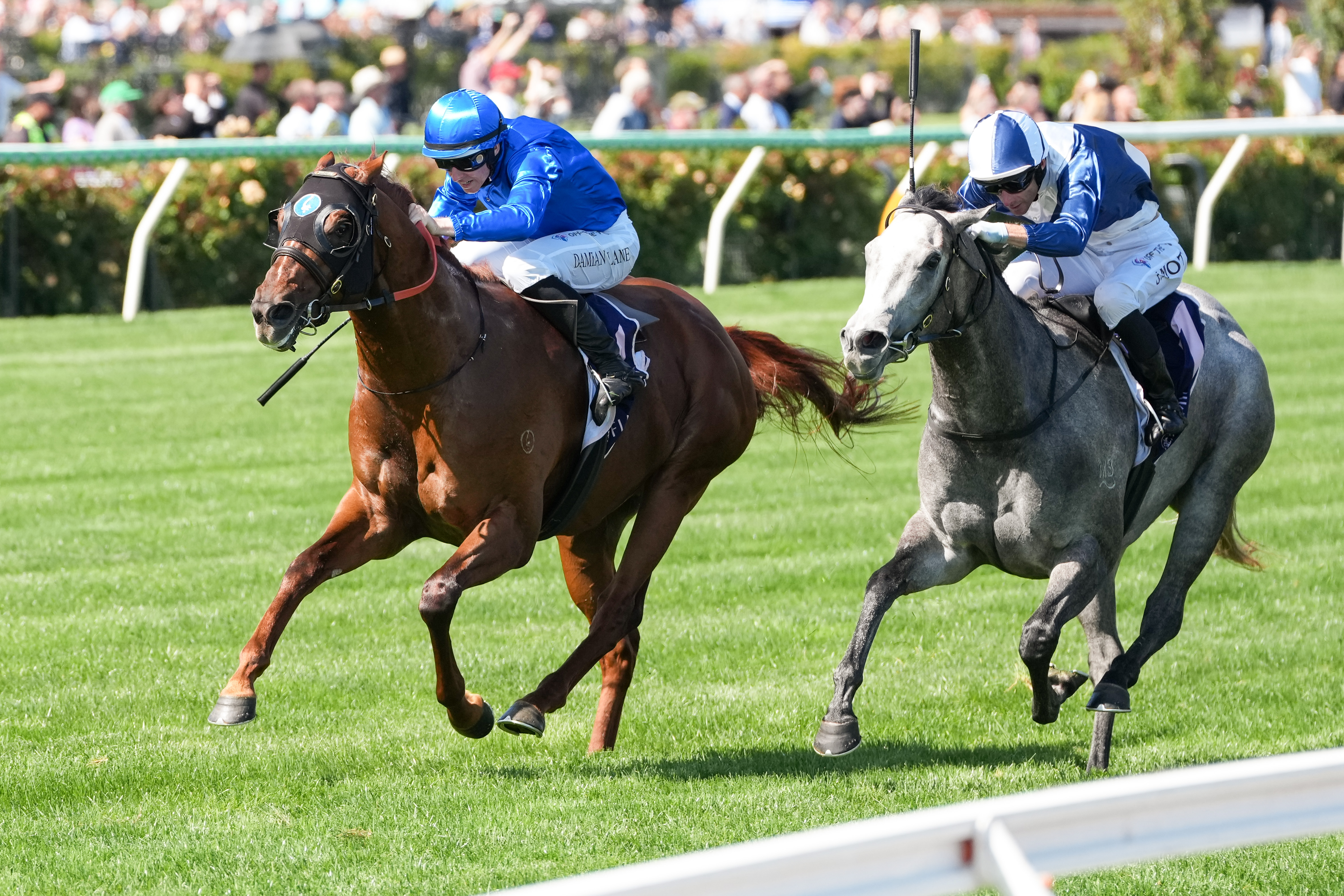 Tentyris electric in Black Caviar Lightning