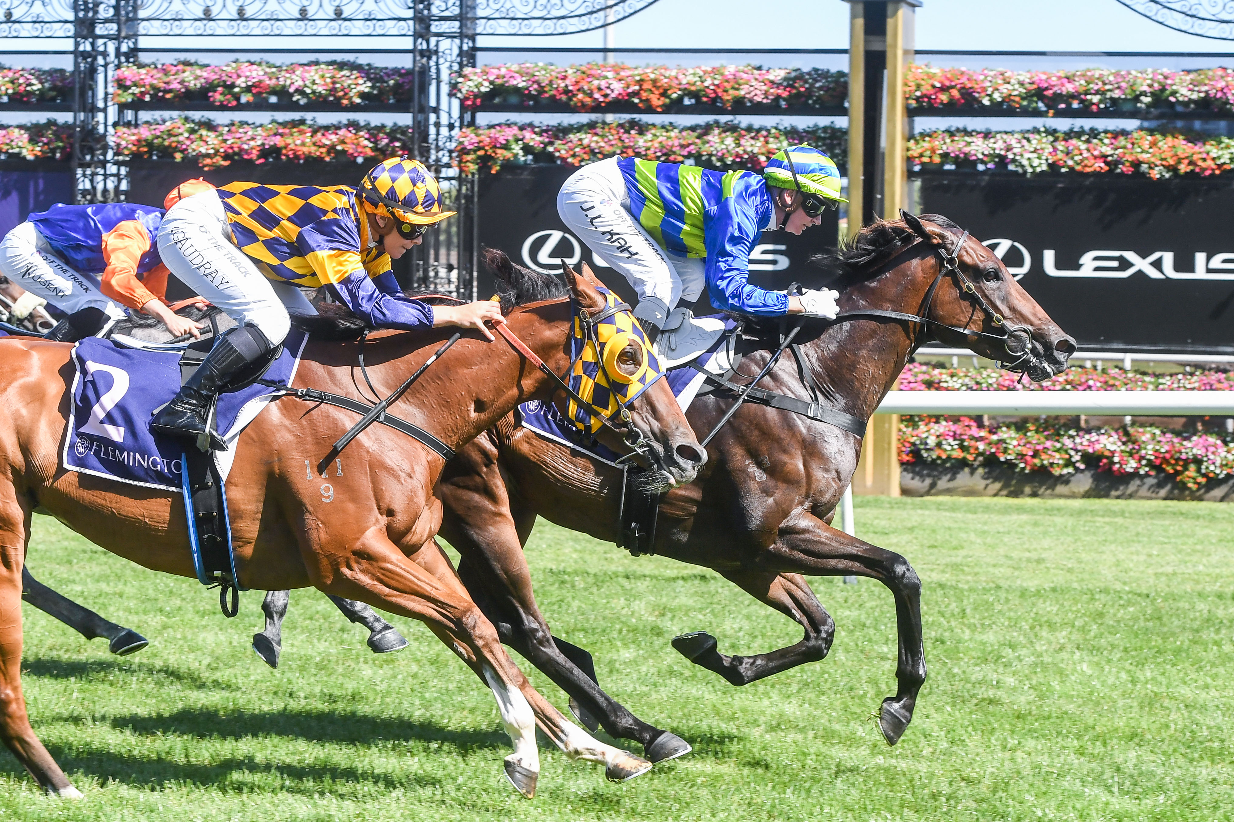 Resimax Rapid Racing Recap