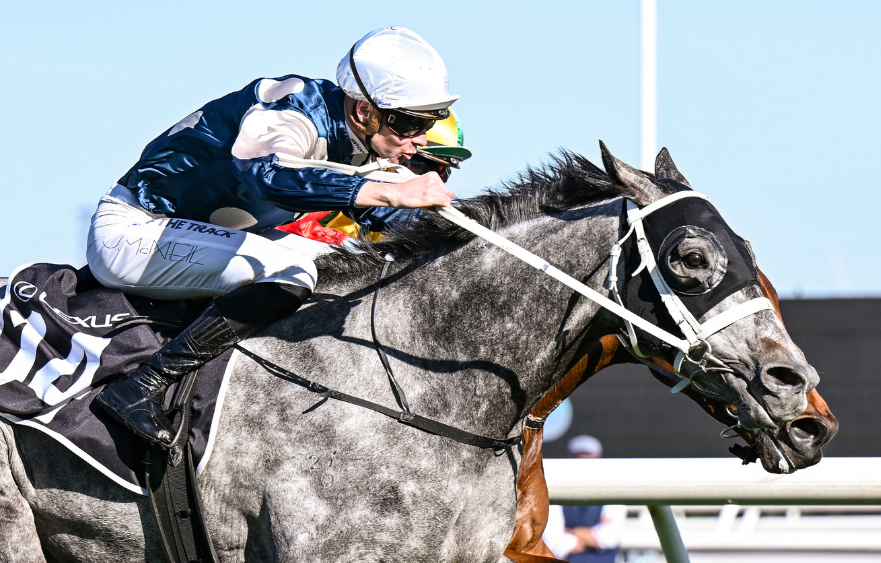 53 horses racing towards this year's Lexus Melbourne Cup