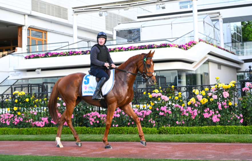 Mullins chases a slice of Melbourne Cup history