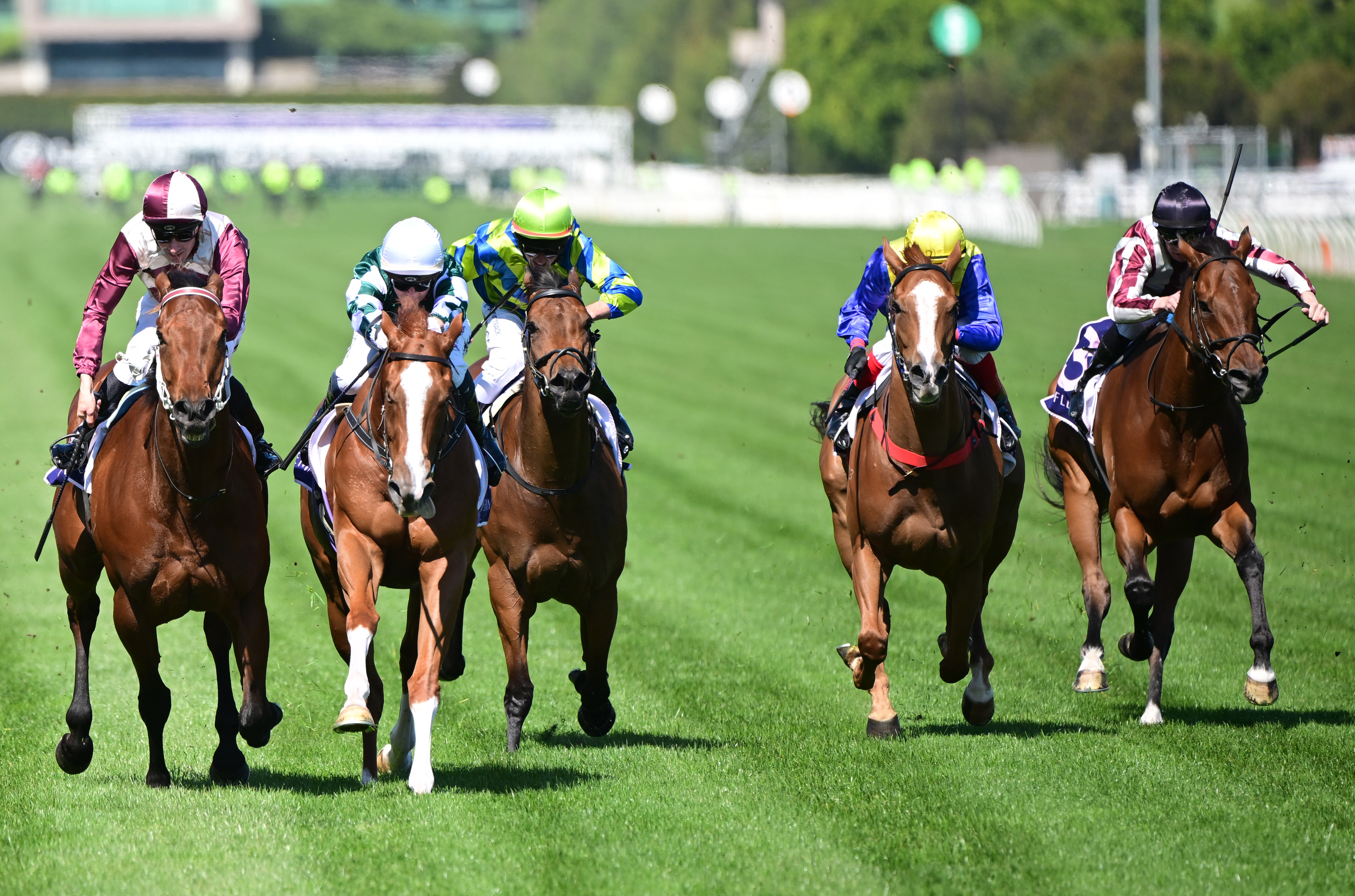 Ashford Street wins the Kensington Stakes