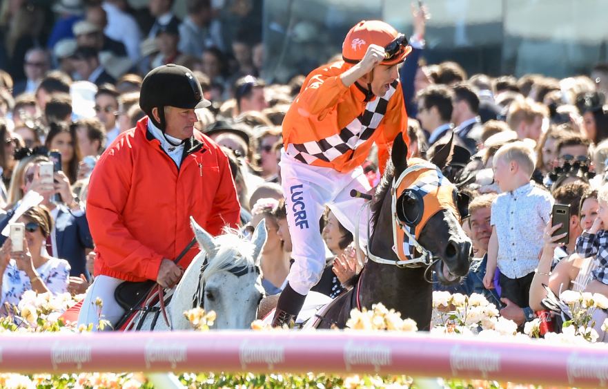Coursing history in the Victoria Derby