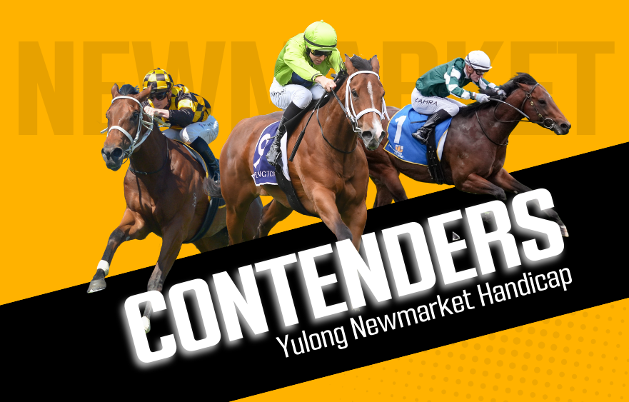 Yulong Newmarket Handicap contenders