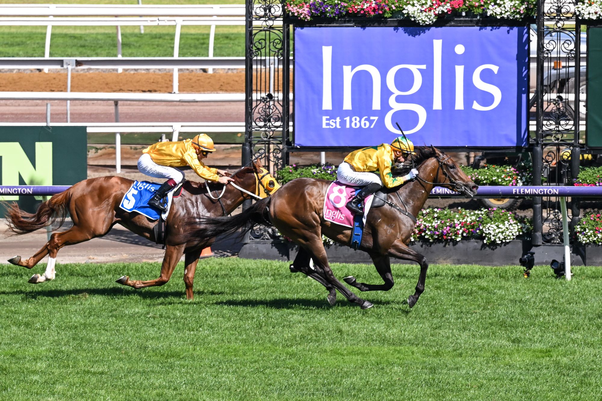 A brief look at Saturday's Flemington undercard