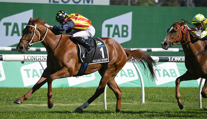 Waller: 'Everything looks right' for Strip