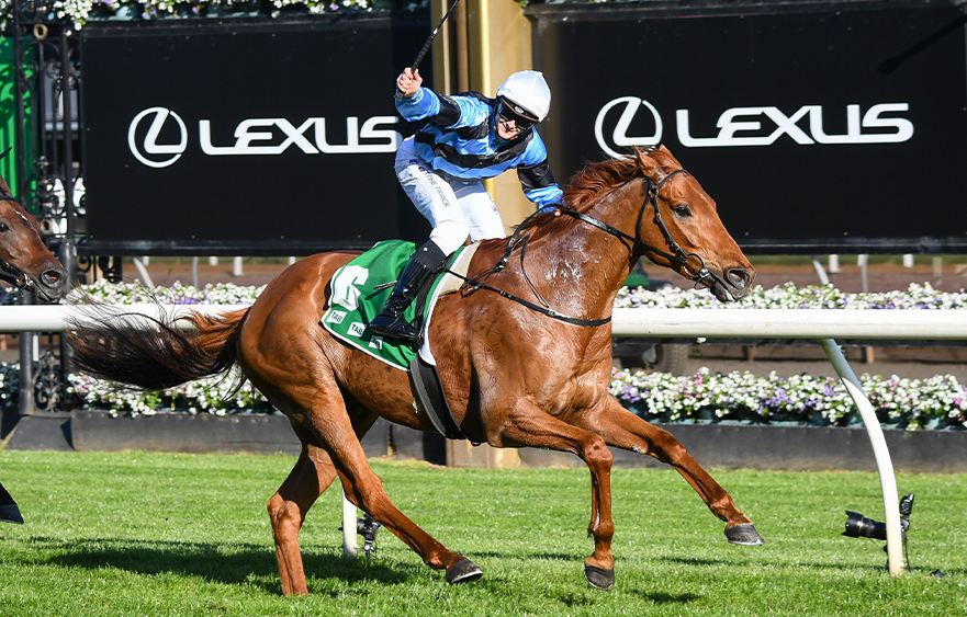 Romans smokes Turnbull field as Flare secures Cup Golden Ticket