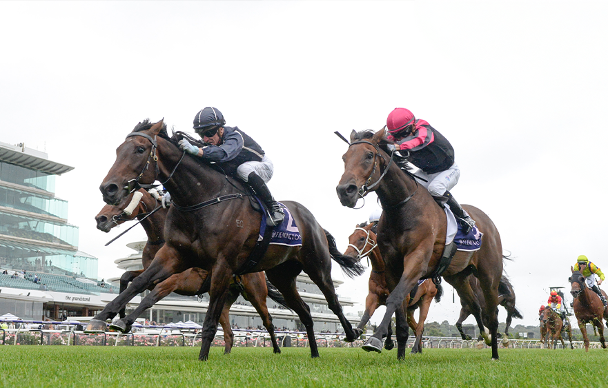 Stronger Bold Soul ready to pounce