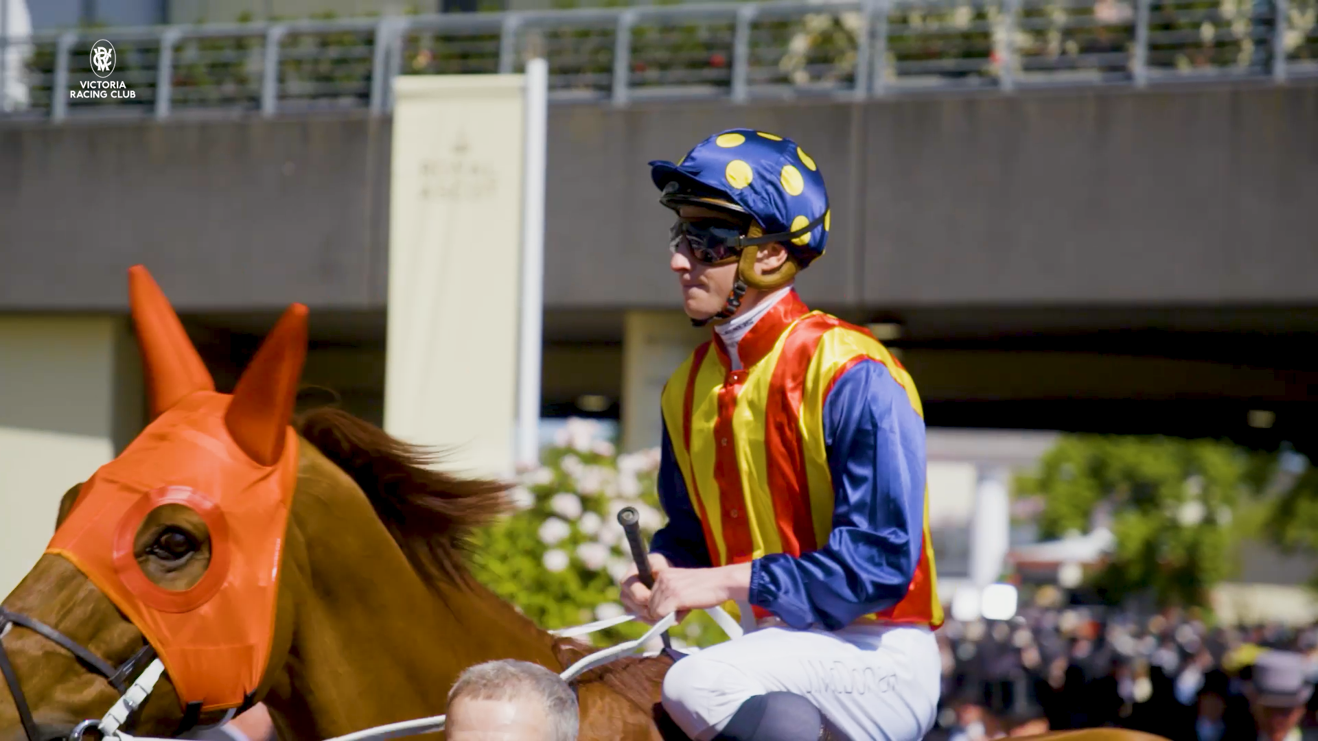 Nature Strip wins the King's Stand