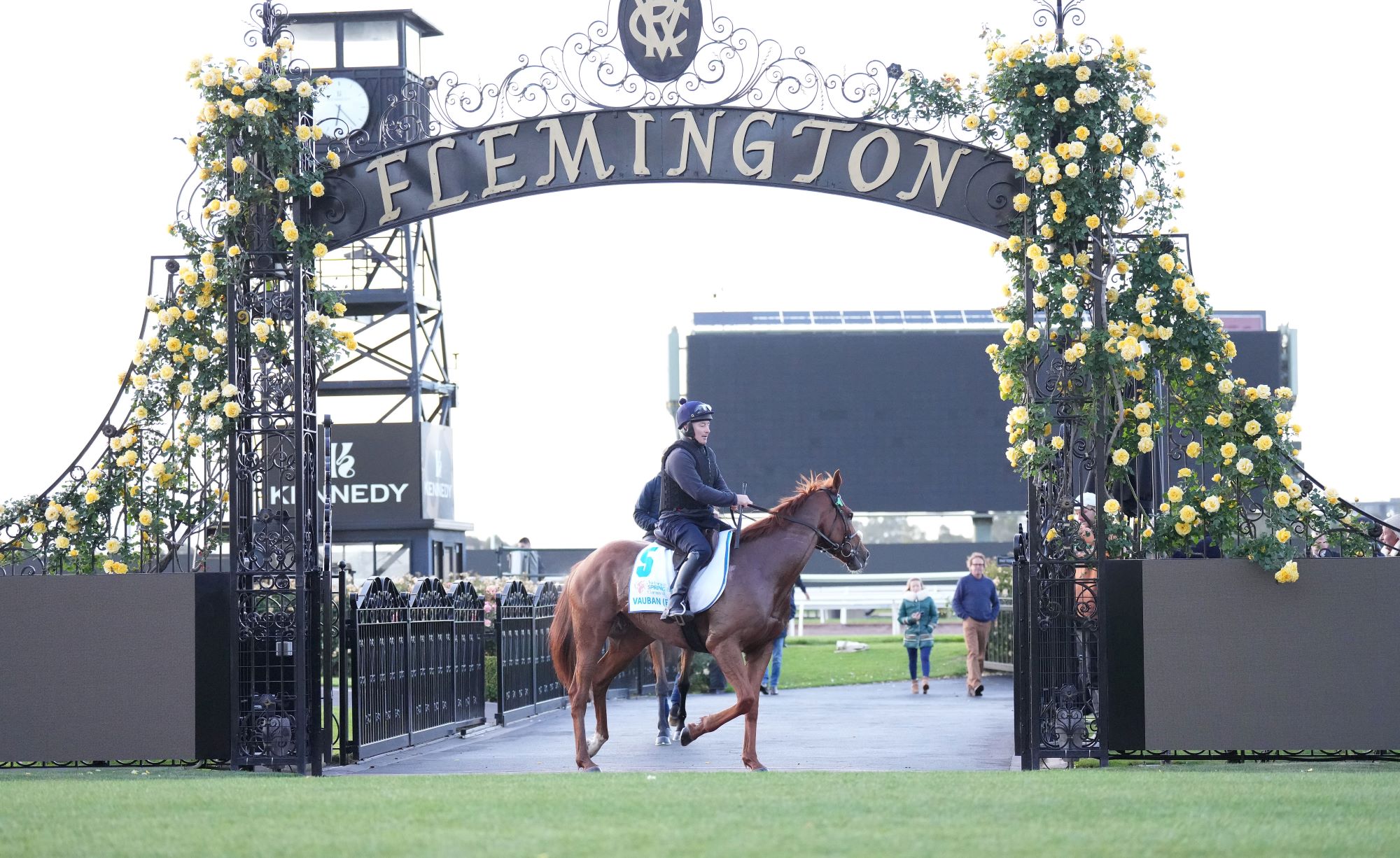 Melbourne Cup contenders get first look at Flemington
