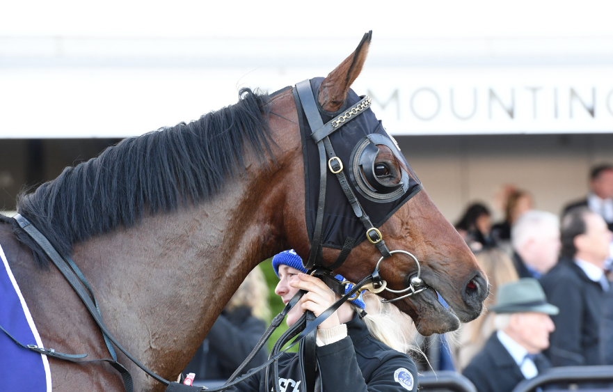 Draw favours Who Dares in Straight Six